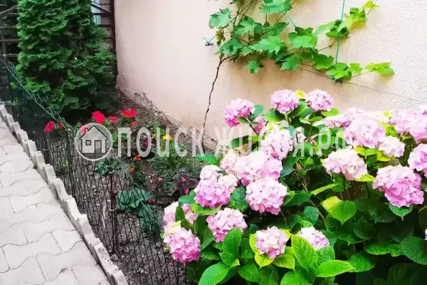 «Лайза», Анапа