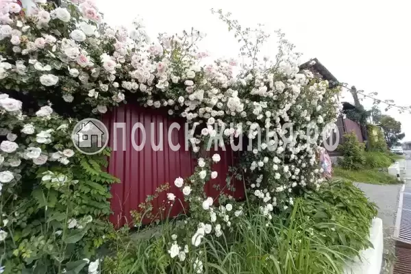 «Маргарита», Лоо