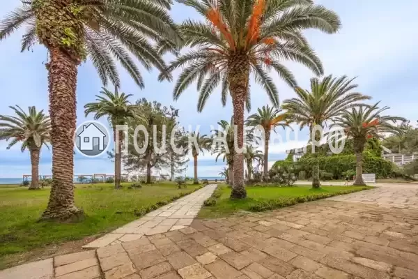 База отдыха «Eco House Pitiunt», Пицунда