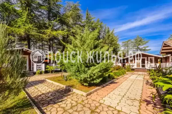 База отдыха «Eco House Pitiunt», Пицунда