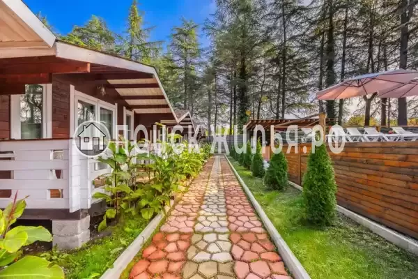 База отдыха «Eco House Pitiunt», Пицунда