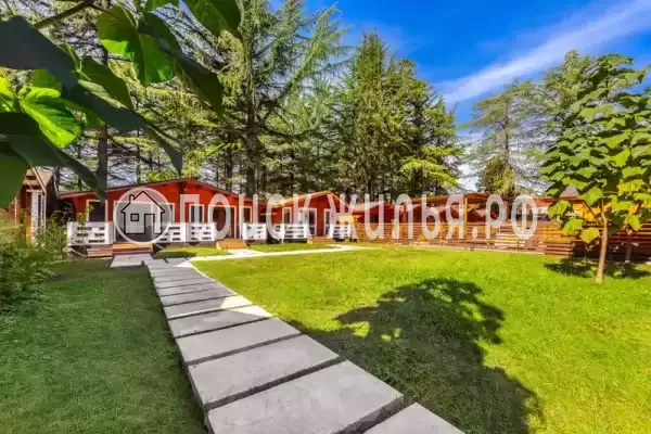 База отдыха «Eco House Pitiunt», Пицунда