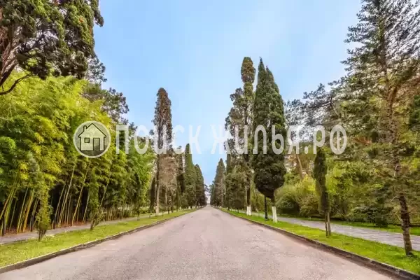 База отдыха «Eco House Pitiunt», Пицунда