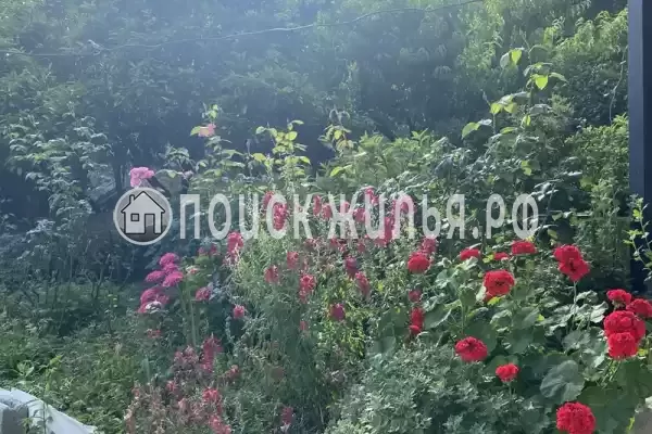 Гостевой дом «Райский Сад», Пицунда