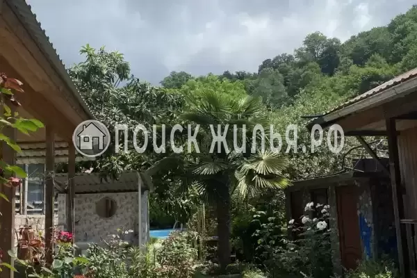 Гостевой дом «Райский Сад», Пицунда