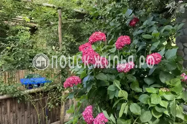 Гостевой дом «Райский Сад», Пицунда