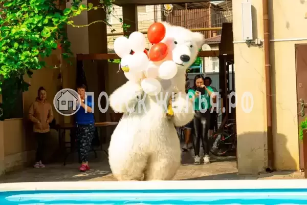 «Китёнок», Витязево