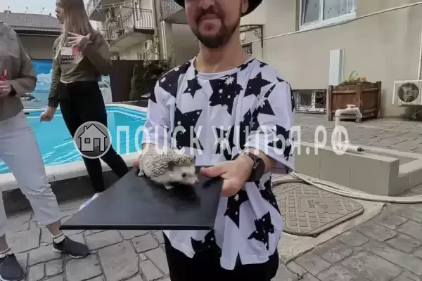 «Китёнок», Витязево