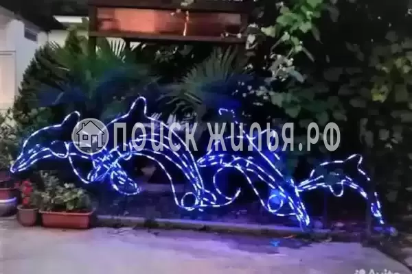 «Тропиканка», Лоо «Тропиканка», Лоо