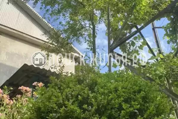 Частный сектор «Traum», Цандрипш