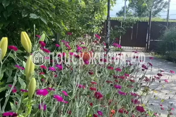 Частный сектор «Traum», Цандрипш