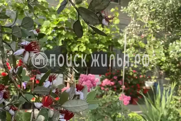 Частный сектор «Traum», Цандрипш