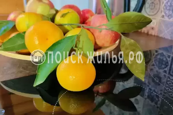 «Усадьба Власовых», Джемете «Усадьба Власовых», Джемете