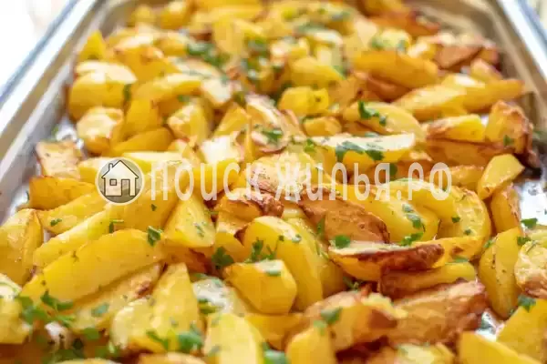 Отель «Царь Евпатор», Евпатория