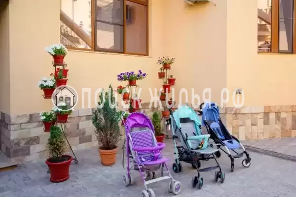 «Сюзэн», Адлер