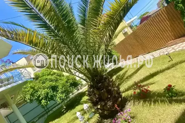 «Дива», Адлер