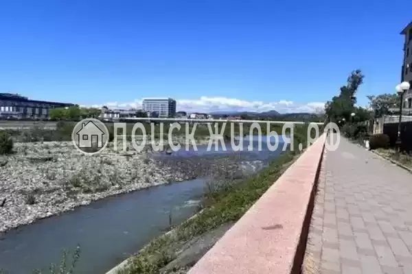 «Дива», Адлер