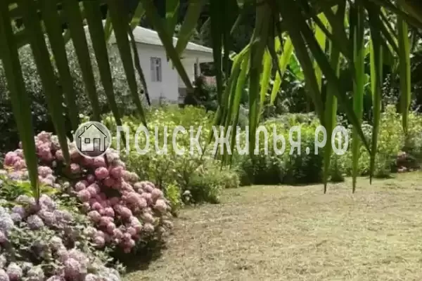 Гостевой дом «Место под солнцем», Пицунда Гостевой дом «Место под солнцем», Пицунда