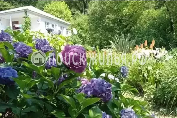 Гостевой дом «Место под солнцем», Пицунда Гостевой дом «Место под солнцем», Пицунда