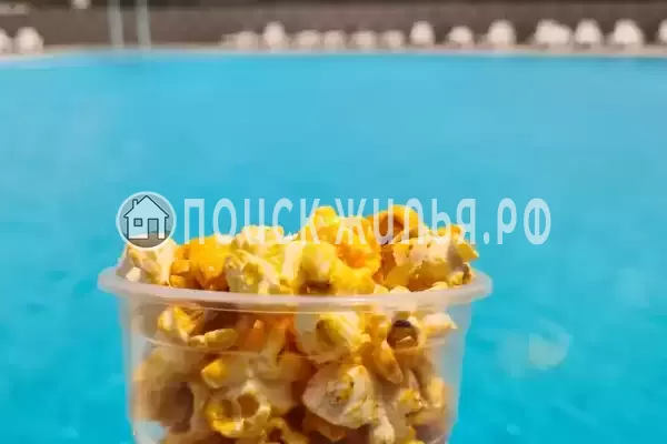 «Brass Family», Анапа «Brass Family», Анапа