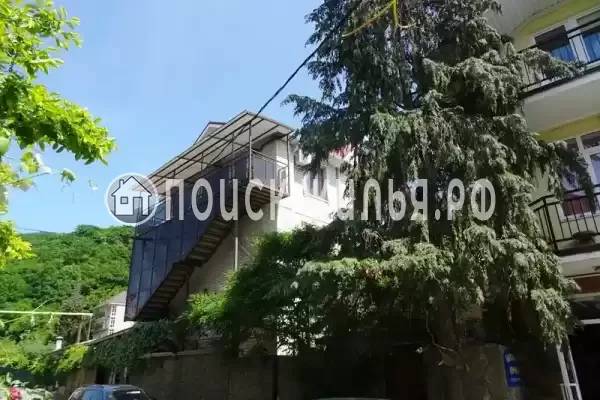 «Виноградная лоза», Лазаревское