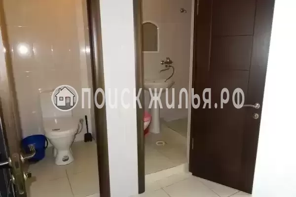 «Виноградная лоза», Лазаревское