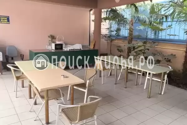 «Family», Адлер