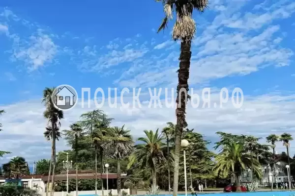 Гостевой дом «Цитрус», Пицунда