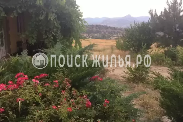 «Sosnovyij Bor Mini-Hotel», Судак