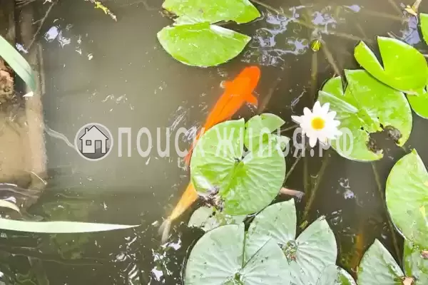 «Волшебная лампа», Евпатория