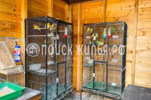 «Волшебная лампа», Евпатория