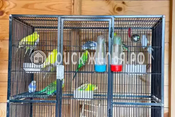 «Волшебная лампа», Евпатория