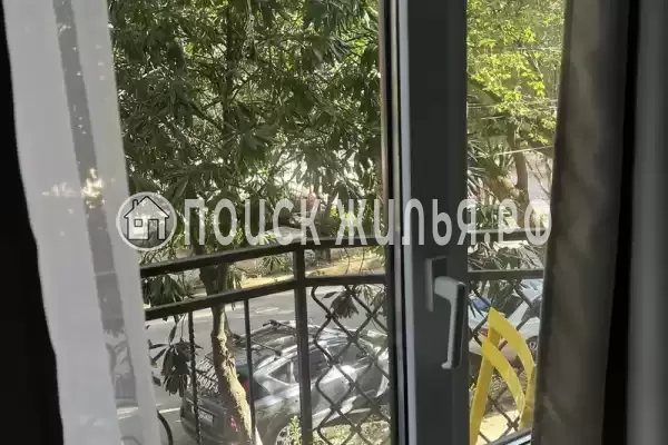 «Лето», Лазаревское