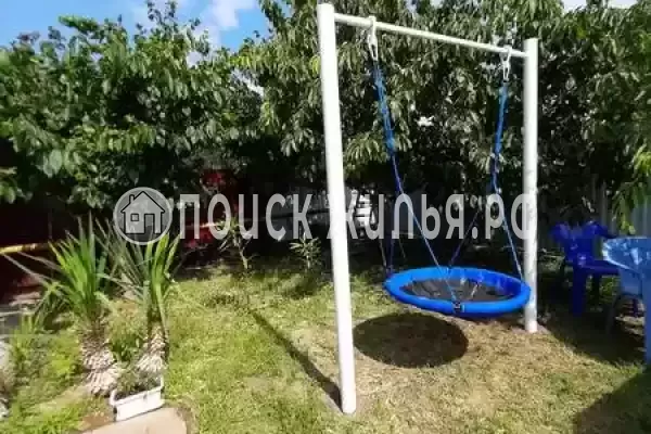 «Пальма», Голубицкая