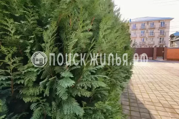 «Парфена», Витязево