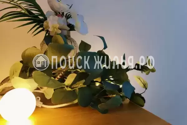 «Парфена», Витязево