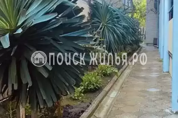 «Selena», Анапа