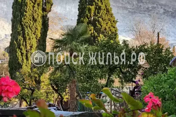 Гостевой дом «Таруса», Новый Афон