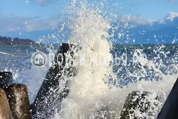 Гостевой дом «Таруса», Новый Афон