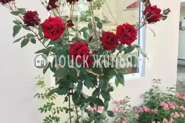 «Летний Бриз», Вардане