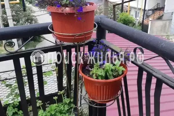 «Золотая рыбка», Лоо