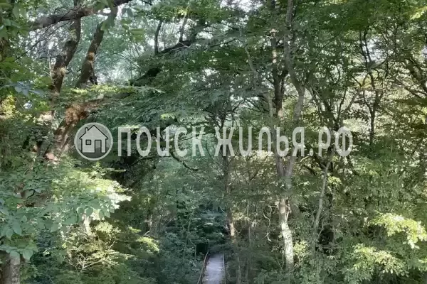 «Изумрудные холмы», Джубга