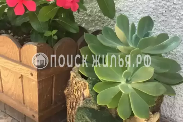 Гостевой дом «Маргарита», Гагра