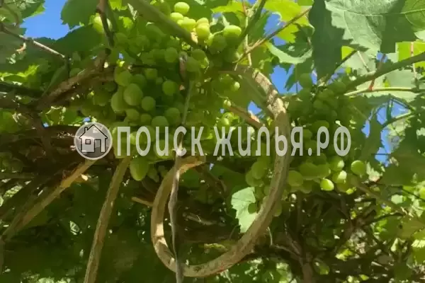 «Салют#Вера», Анапа