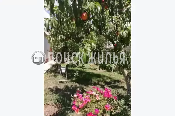 «Семейный», Евпатория