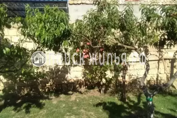 «Семейный», Евпатория