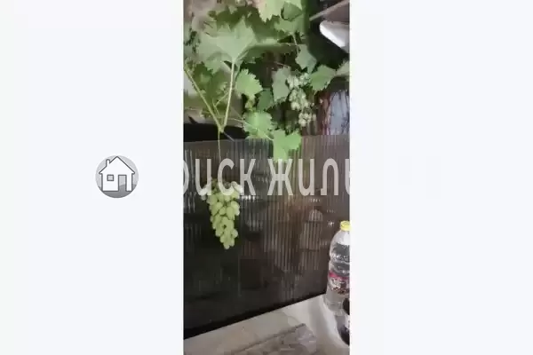 «Семейный», Евпатория