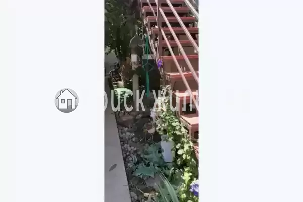 «Семейный», Евпатория