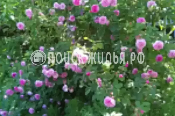 Частный сектор «Семейный», Головинка