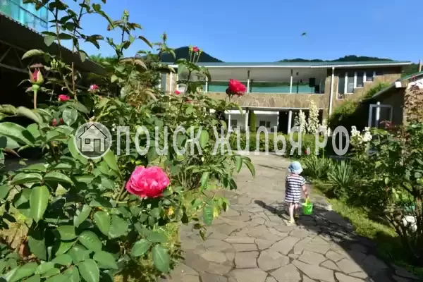 Школьная, д.10, Ольгинка Школьная, д.10, Ольгинка